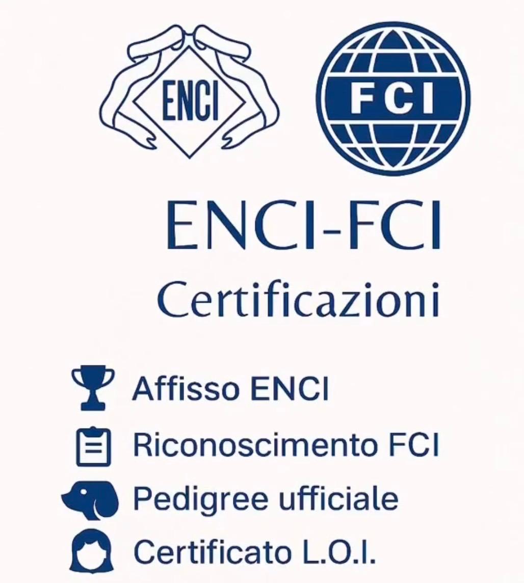 Certificazioni ENCI-FCI · Affisso ENCI 12018, Riconoscimento FCI, Pedigree ufficiale, Certificato L.O.I.